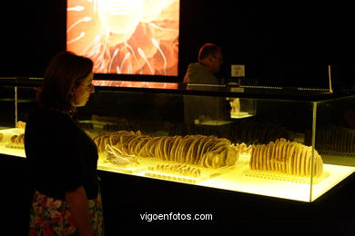 ANATOMÍA Y CUERPOS HUMANOS. PLASTINACIÓN: ÉRASE UNA VEZ LA VIDA. LA EXPOSICIÓN VIGO. 2009