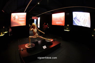 ÉRASE UNA VEGADA LA VIDA. L'EXPOSICIÓ. ANATOMIA I COSSOS HUMANS. ESTACIÓ MARÍTIMA DE VIGO. 2009