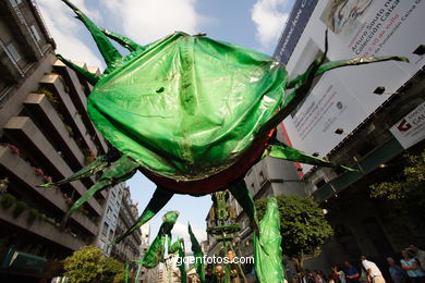 FIESTA DE LA BATALLA DE LAS FLORES 2006 - VIGO - 