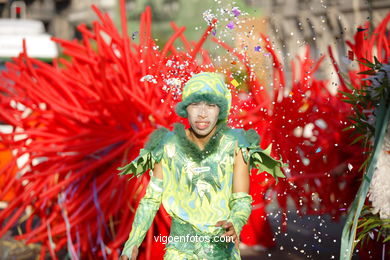 FESTA DA BATALHA DAS FLORES 2007 - VIGO - 