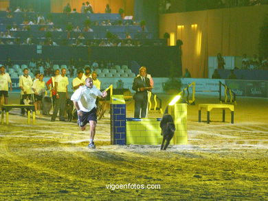 CONCURSO DE SALTOS DE HÍPICA DE VIGO - CSI 2003