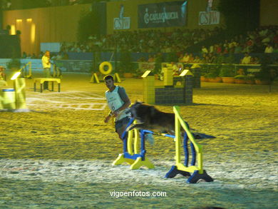 CONCURSO DE SALTOS DE HÍPICA DE VIGO - CSI 2003