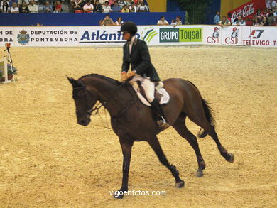 CONCURSO DE SALTOS DE HÍPICA DE VIGO - CSI 2003