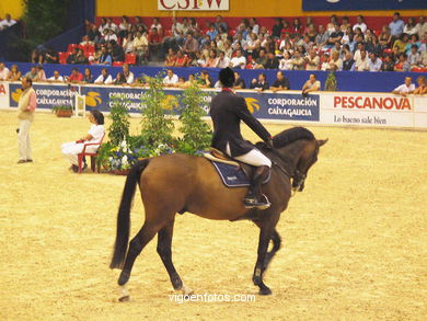 CONCURSO DE SALTOS DE HÍPICA DE VIGO - CSI 2003