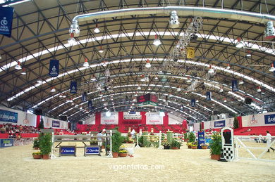 SHOW JUMPING COMPETITION - CSI 2002