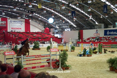 SHOW JUMPING COMPETITION - CSI 2002