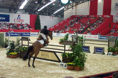 SHOW JUMPING COMPETITION - CSI 2002