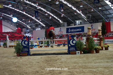 SHOW JUMPING COMPETITION - CSI 2002