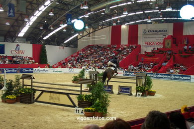 SHOW JUMPING COMPETITION - CSI 2002