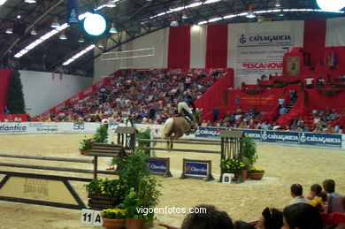 SHOW JUMPING COMPETITION - CSI 2002