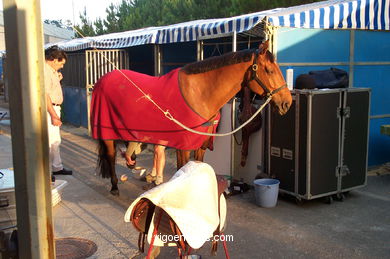 SHOW JUMPING COMPETITION - CSI 2002