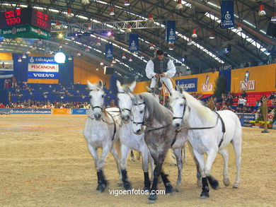 SALTOS DE HÍPICA DE VIGO - CSI 2004