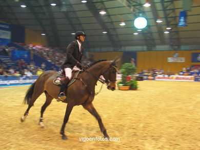 SALTOS DE HÍPICA DE VIGO - CSI 2004