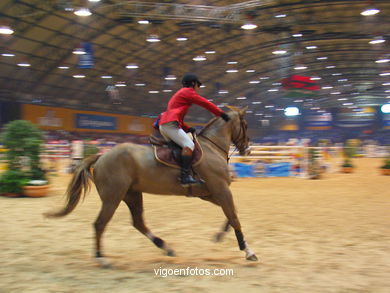 SHOW JUMPING COMPETITION - CSI 2004