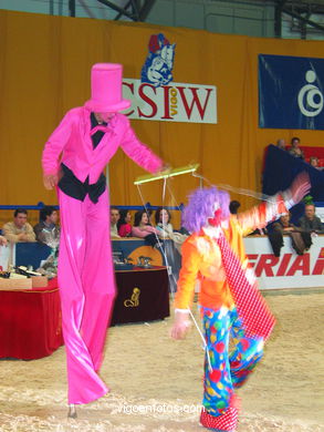 SHOW JUMPING COMPETITION - CSI 2004