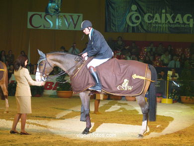 SALTOS DE HÍPICA DE VIGO - CSI 2004