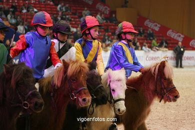 HÍPICA. CONCURSO DE SALTOS DE HÍPICA DE VIGO - CSI 2005