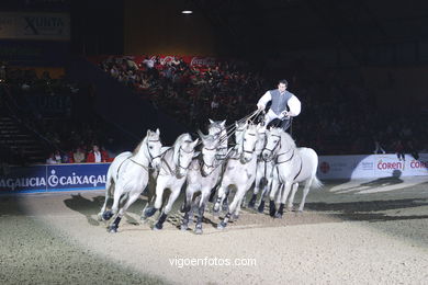 SHOW JUMPING COMPETITION - CSI 2005