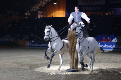 HÍPICA. CONCURSO DE SALTOS DE HÍPICA DE VIGO - CSI 2005