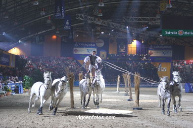 HÍPICA. CONCURSO DE SALTOS DE HÍPICA DE VIGO - CSI 2005