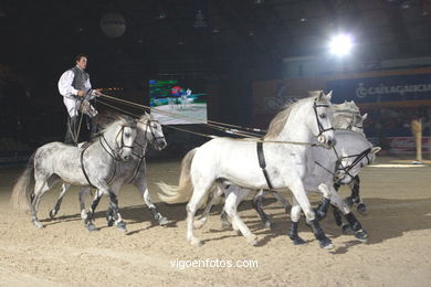 HÍPICA. CONCURSO DE SALTOS DE HÍPICA DE VIGO - CSI 2005