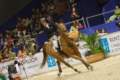 CONCURSO DE SALTOS DE HÍPICA DE VIGO - CSI 2006