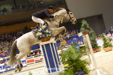 CONCURSO DE SALTOS DE HÍPICA DE VIGO - CSI 2006