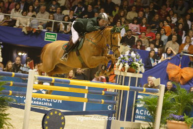 CONCURSO DE SALTOS DE HÍPICA DE VIGO - CSI 2006