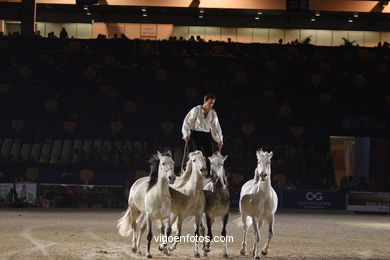 CONCURSO DE SALTOS DE HÍPICA DE VIGO - CSI 2006