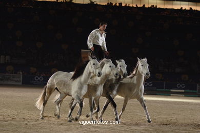 CONCURSO DE SALTOS DE HÍPICA DE VIGO - CSI 2006