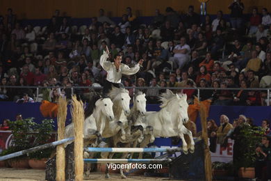 CONCURSO DE SALTOS DE HÍPICA DE VIGO - CSI 2006