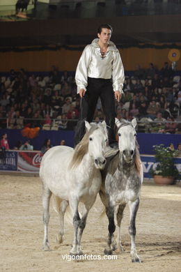 CONCURSO DE SALTOS DE HÍPICA DE VIGO - CSI 2006