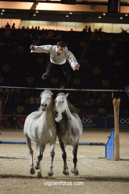 SHOW JUMPING COMPETITION - CSI 2006