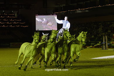 CONCURSO DE SALTOS DE HÍPICA DE VIGO - CSI 2007