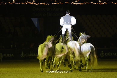 CONCURSO DE SALTOS DE HÍPICA DE VIGO - CSI 2007