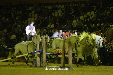 SHOW JUMPING COMPETITION - CSI 2007