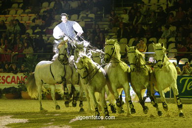 SHOW JUMPING COMPETITION - CSI 2007