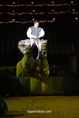 SHOW JUMPING COMPETITION - CSI 2007