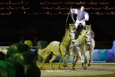 CONCURSO DE SALTOS DE HÍPICA DE VIGO - CSI 2007