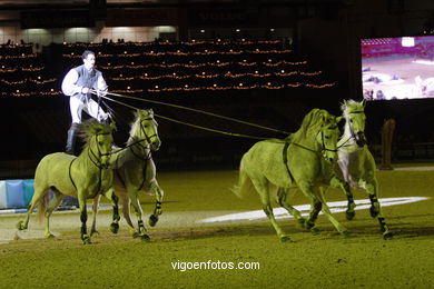 CONCURSO DE SALTOS DE HÍPICA DE VIGO - CSI 2007