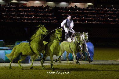 CONCURSO DE SALTOS DE HÍPICA DE VIGO - CSI 2007