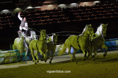 CONCURSO DE SALTOS DE HÍPICA DE VIGO - CSI 2007