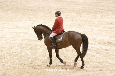 CONCURSO DE SALTOS DE HÍPICA DE VIGO - CSI 2007