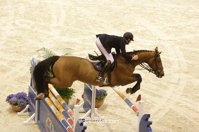 SHOW JUMPING COMPETITION - CSI 2007