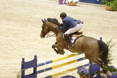 SHOW JUMPING COMPETITION - CSI 2007