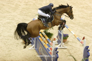 SHOW JUMPING COMPETITION - CSI 2007