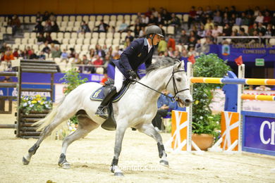 SHOW JUMPING COMPETITION - CSI 2009