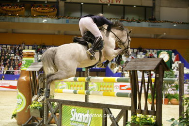 SHOW JUMPING COMPETITION - CSI 2009