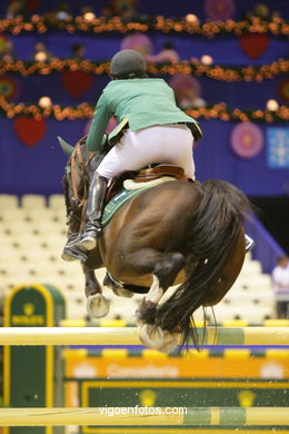 SHOW JUMPING COMPETITION - CSI 2009