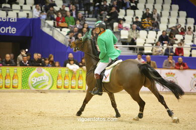 HÍPICA. CONCURSO DE SALTOS 2009 DE VIGO - CSI